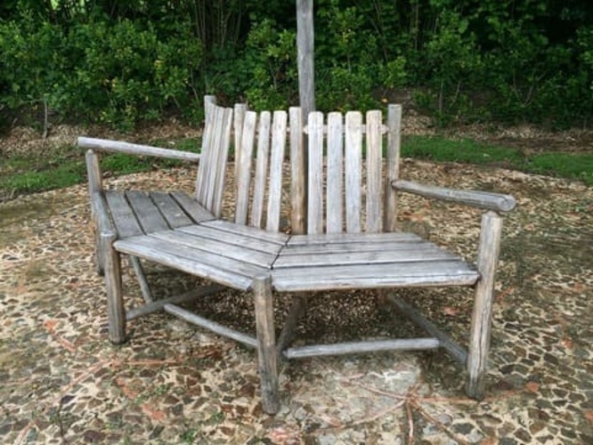 banc tour d'arbre