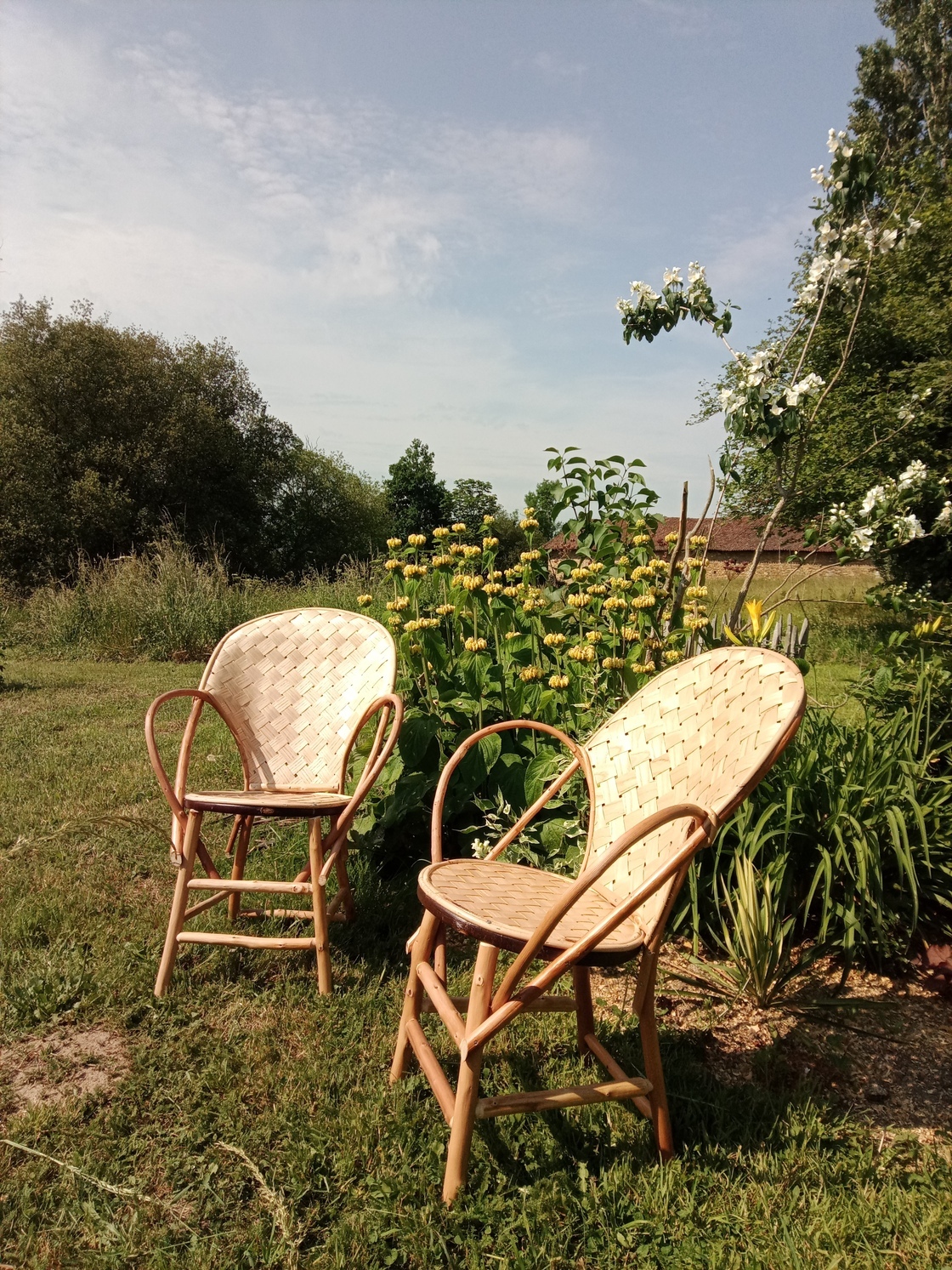 IMG_20230606_105716_682-1